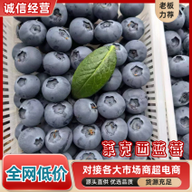 安徽爆汁蓝莓品种优，口感好，新鲜采摘耐储存耐运输