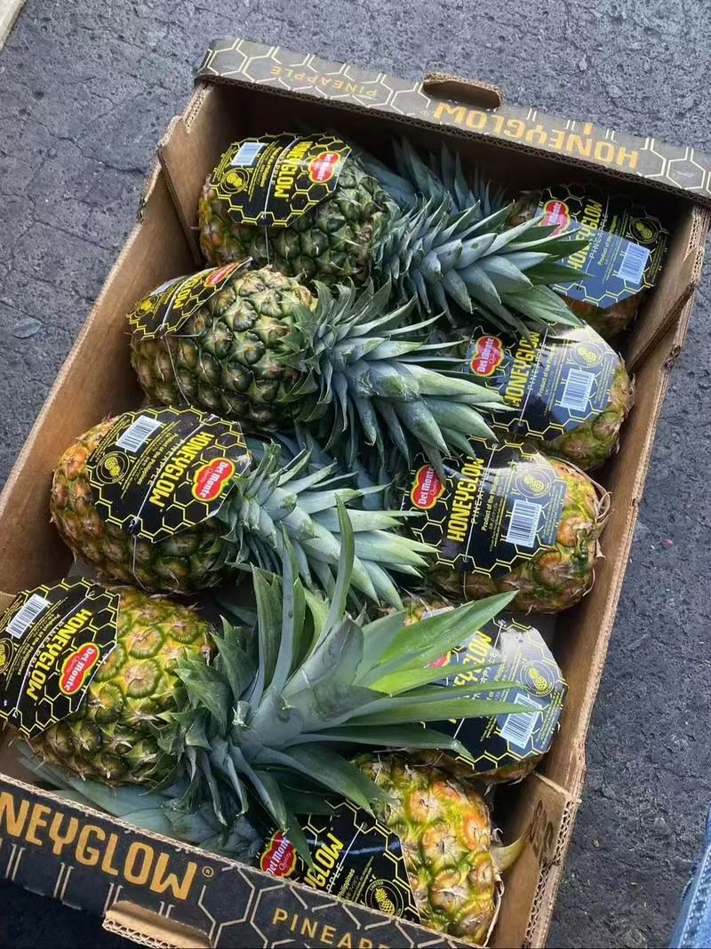广东徐闻凤梨大量上市品种齐全整车批发一件代发！