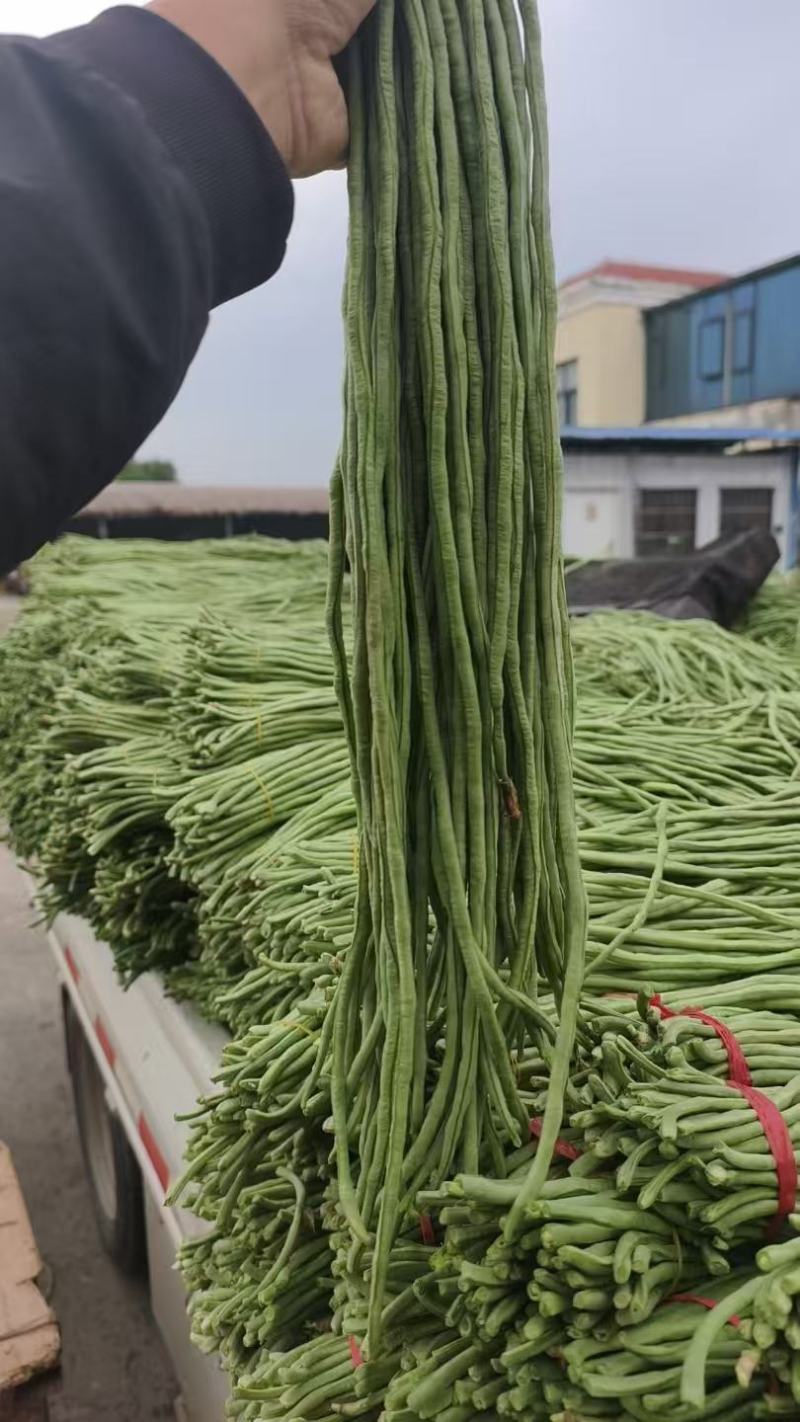 广西长豆角青条豆角对接电商市场商超可视频看货