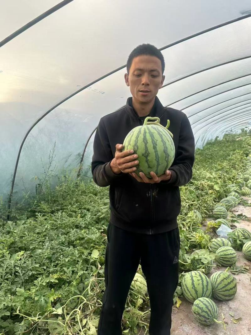 庆阳精品美都西瓜西瓜甜度高品质保证诚信经营欢迎电话联系