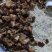 枣庄旺德福食品有限公司