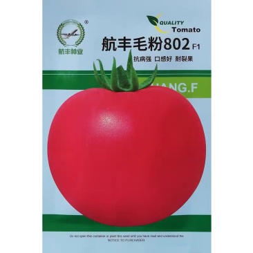 毛粉802番茄种子老品种番茄粉西红柿种籽沙瓤番茄抗病耐裂
