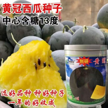 黄瓤西瓜种子创研黄冠杂交大田基地高产西瓜品种果肉晶黄