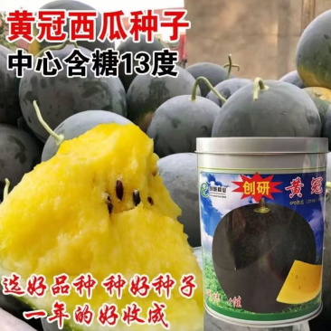 黄瓤西瓜种子创研黄冠杂交大田基地高产西瓜品种果肉晶黄
