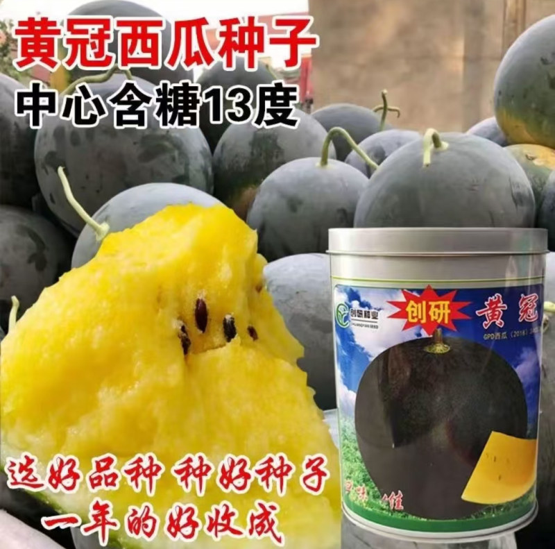 黄瓤西瓜种子创研黄冠杂交大田基地高产西瓜品种果肉晶黄