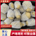 （黄心土豆）V7土豆/希森土豆/常年供应/大量价优
