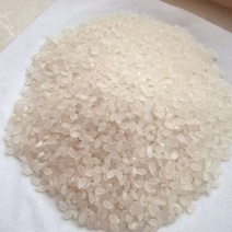 东北优质珍珠米