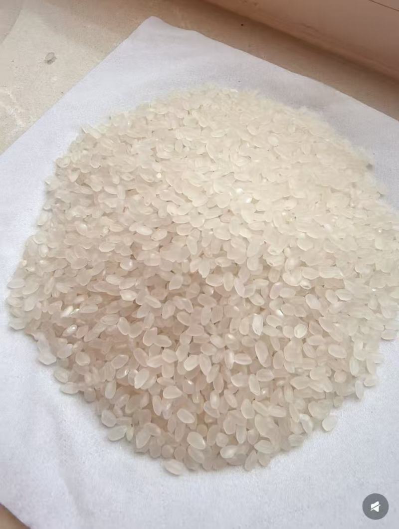 东北优质珍珠米