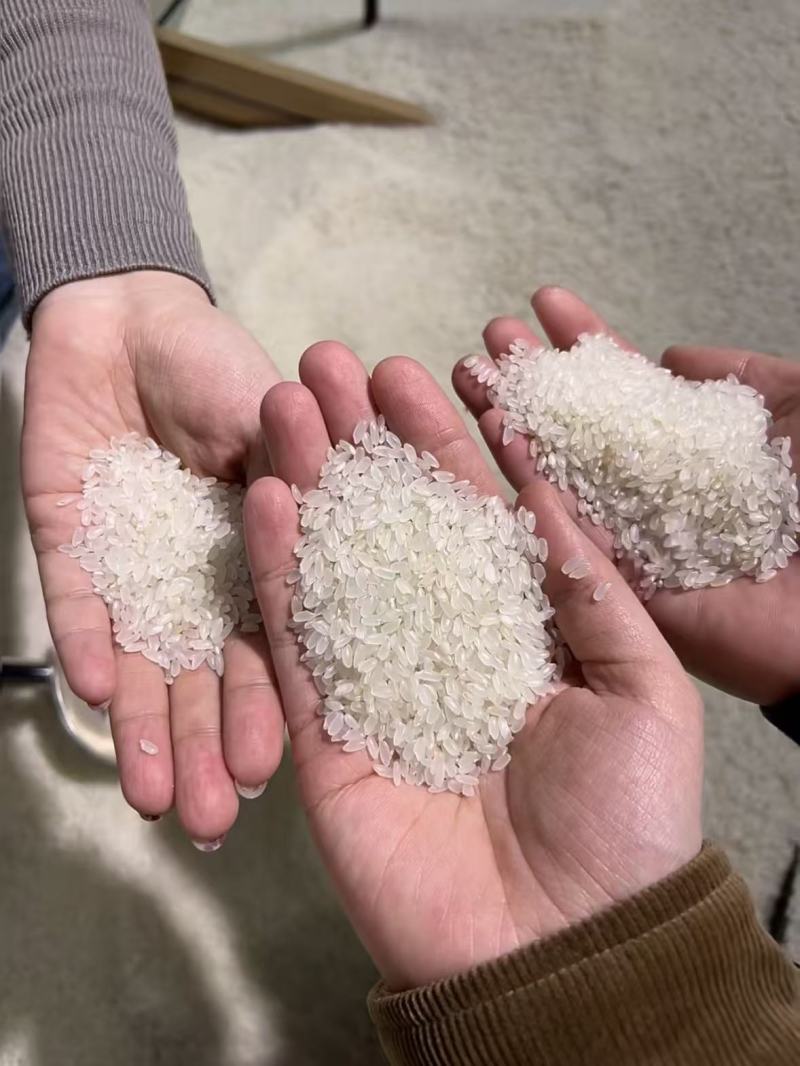 东北优质珍珠米