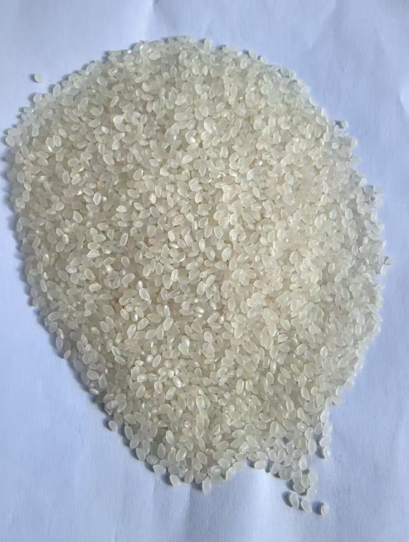 东北优质珍珠米