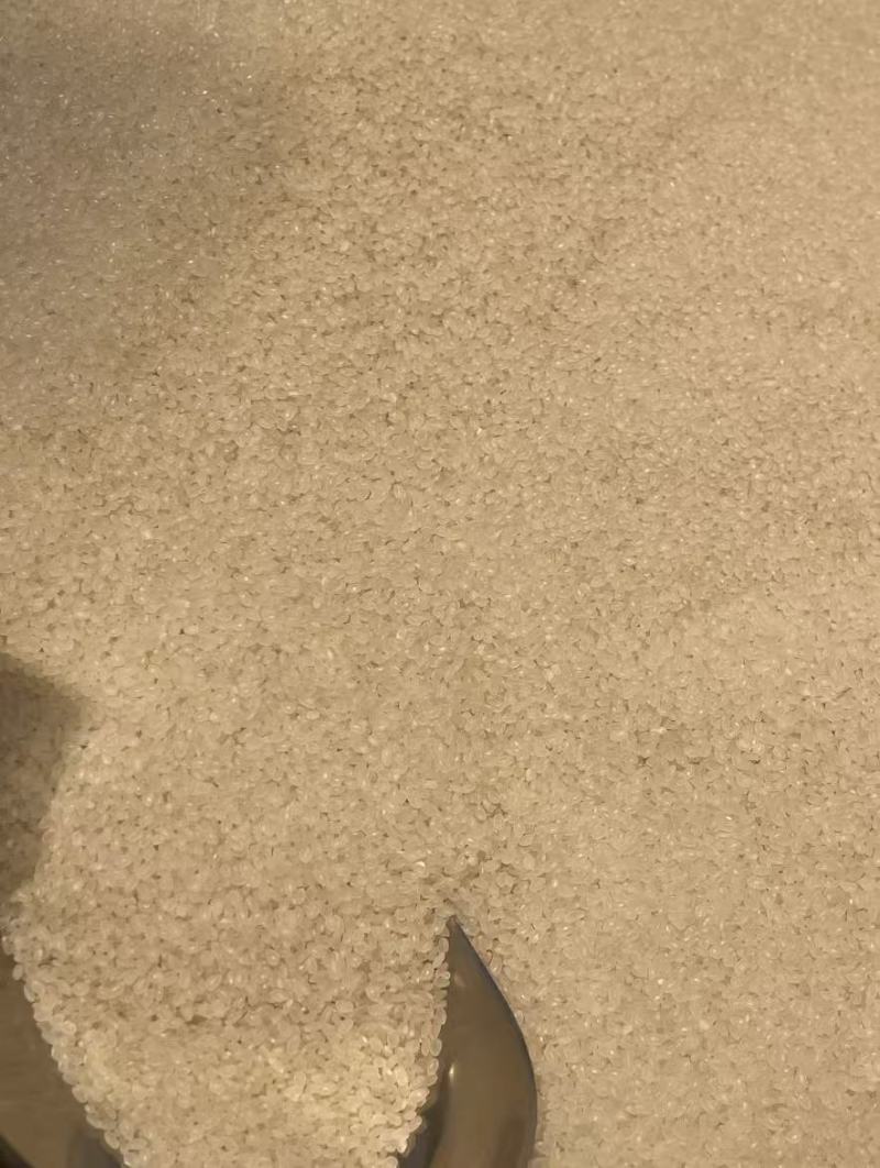 东北优质珍珠米