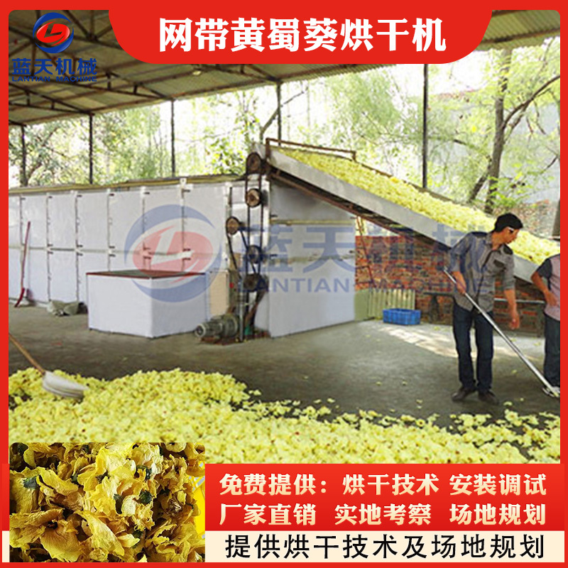 网带黄蜀葵烘干机棉花葵金花葵干燥机黄芙蓉黄花莲烘干机