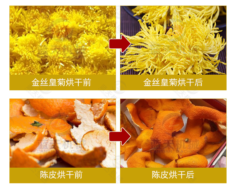 网带黄蜀葵烘干机棉花葵金花葵干燥机黄芙蓉黄花莲烘干机