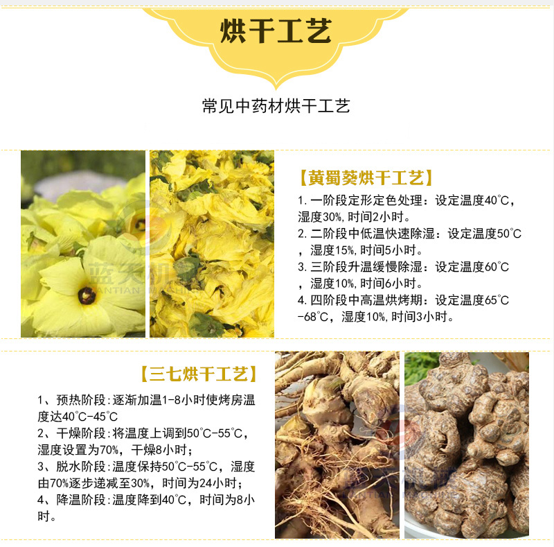 网带黄蜀葵烘干机棉花葵金花葵干燥机黄芙蓉黄花莲烘干机