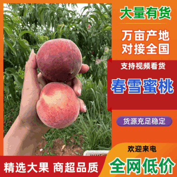 毛桃春蜜春雪美佳突围桃源充足电商超市市场发全国