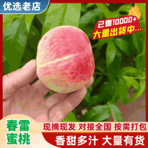 【新货上市】油桃毛桃货源充足市场电商社团出口