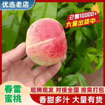 【新货上市】油桃中油货源充足市场社团出口大量供货