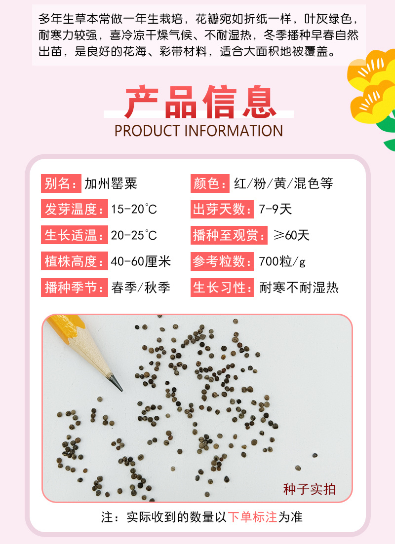 皱叶花菱草种子复瓣加州虞美人洋丽春花籽盆栽阳台庭