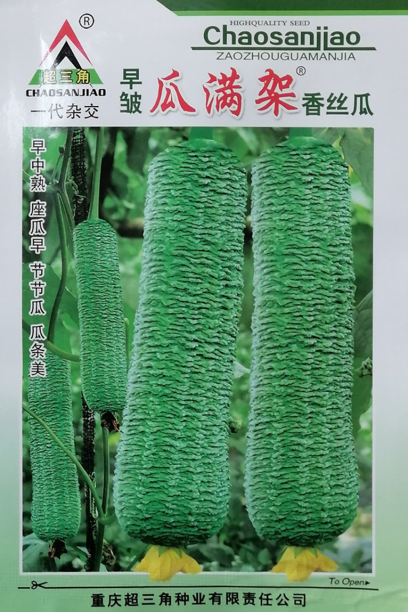 瓜满架香丝瓜种子高产皱丝瓜耐寒耐热一代杂交皱皮丝瓜种籽