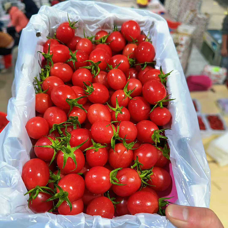 广东电白千禧圣女果香芒皇后电商供货商超市场一件代发
