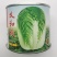 义和秋大白菜种子抗病高产特大秋播冬储山东胶州白菜蔬菜种子