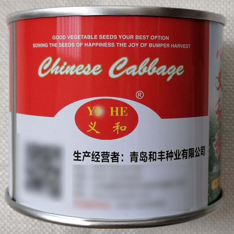 义和秋大白菜种子抗病高产特大秋播冬储山东胶州白菜蔬菜种子