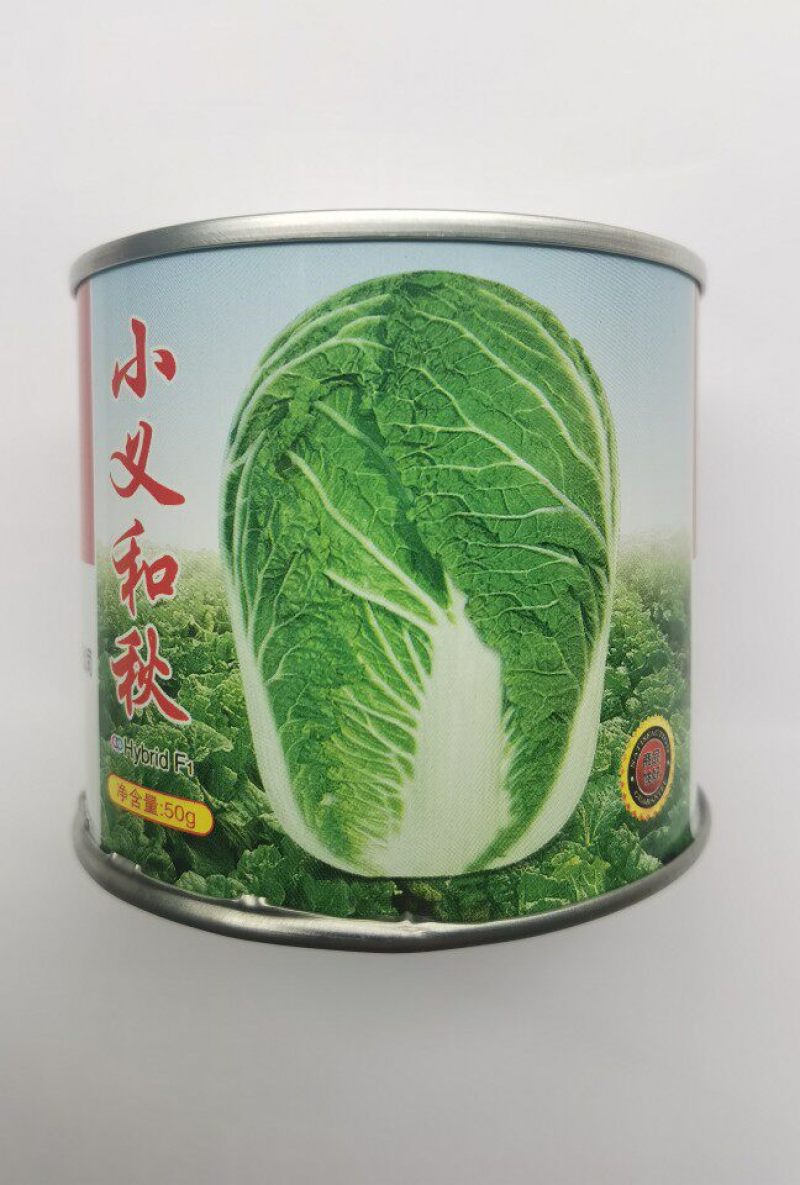 小义和秋大白菜种子早熟抗病高产秋冬储山东胶州白菜蔬菜种子