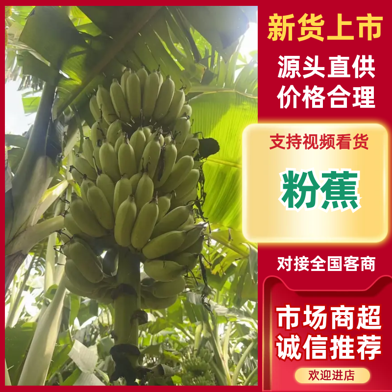 粉焦品质保证服务周到产地直发价格美丽欢迎联系沟通