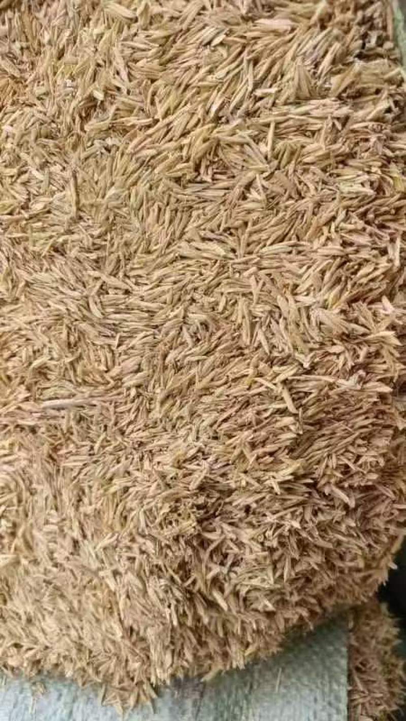 压缩稻壳，厂家直供，日产150吨左右，货源稳定欢迎老板咨询