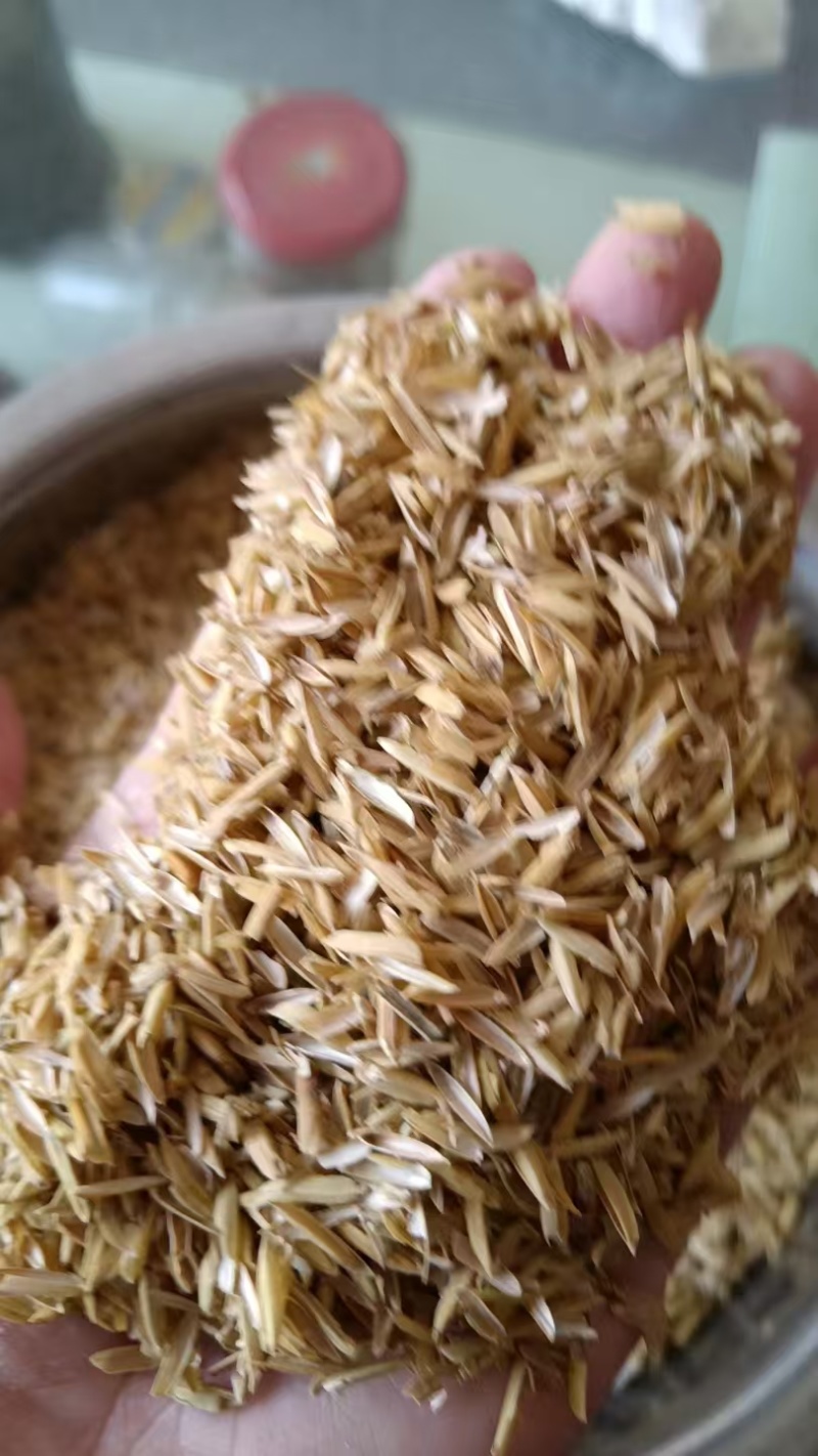 饲料散装稻壳工厂直供量大质优价格优惠欢迎咨询采购