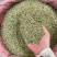 国产特绿小茴香大货价7元/斤