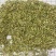 国产特绿小茴香大货价7元/斤