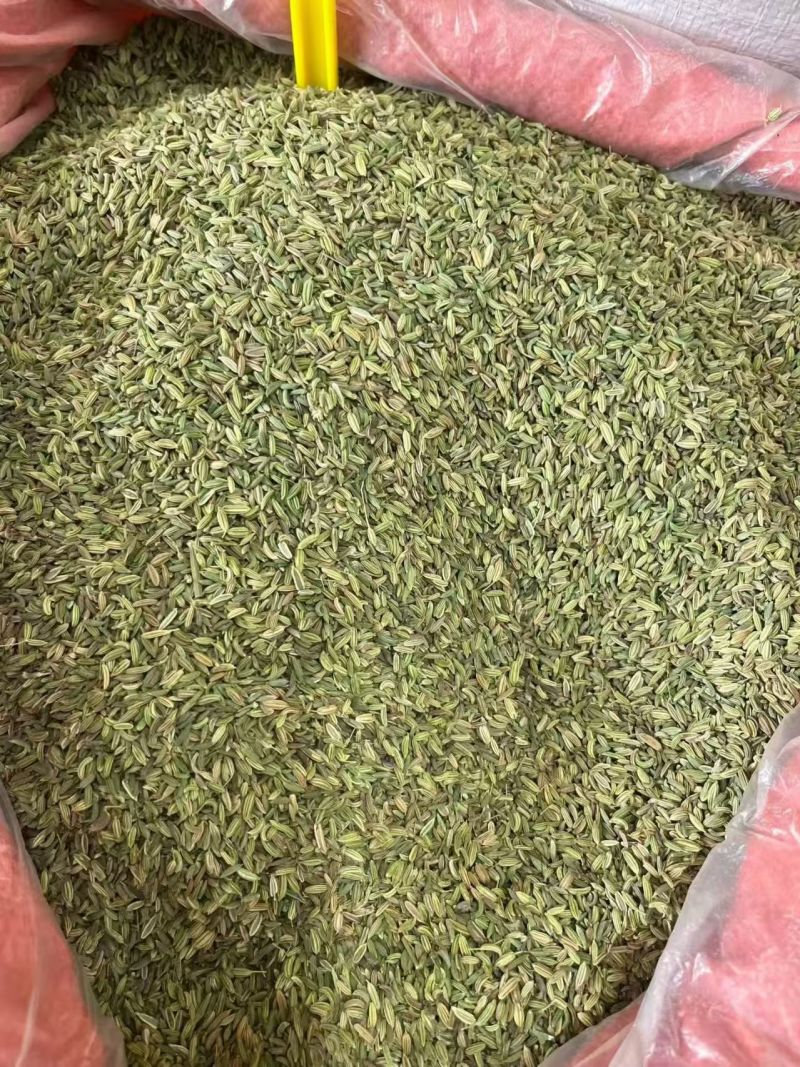 国产特绿小茴香大货价7元/斤