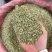 国产特绿小茴香大货价7元/斤