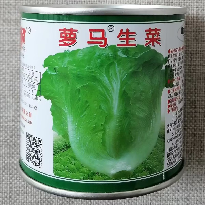 萝马生菜种子耐抽苔生菜种籽口感好蔬菜沙拉肉厚四季播青菜种
