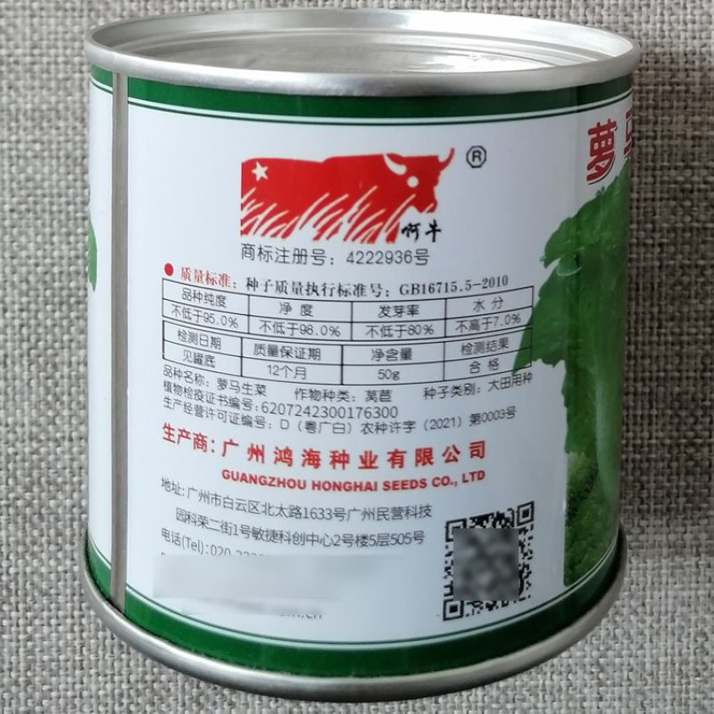 萝马生菜种子耐抽苔生菜种籽口感好蔬菜沙拉肉厚四季播青菜种