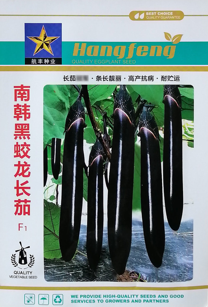 南韩黑蛟龙长茄种子条长早熟黑茄子种子高产蔬菜基地墨茄品种