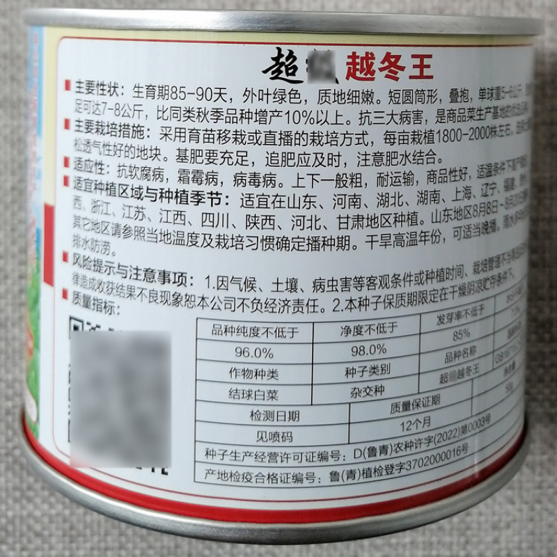 越冬王杂交大白菜种子耐寒结球白菜种籽商品菜生产基地用种