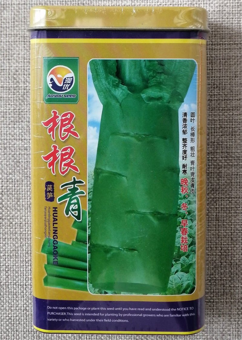 根根青纯青玉圆叶香莴笋种子青皮青肉高产耐寒莴苣种籽清香脆