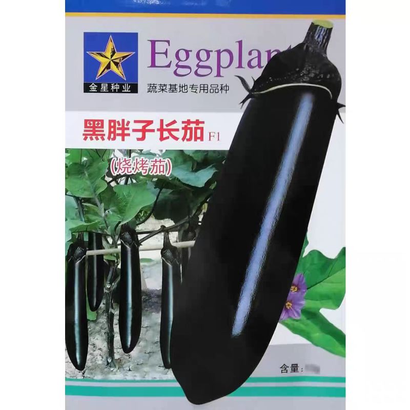 黑胖子长茄种子烧烤茄种子蔬菜基地高产用中早熟黑茄子种子