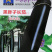 黑胖子长茄种子烧烤茄种子蔬菜基地高产用中早熟黑茄子种子
