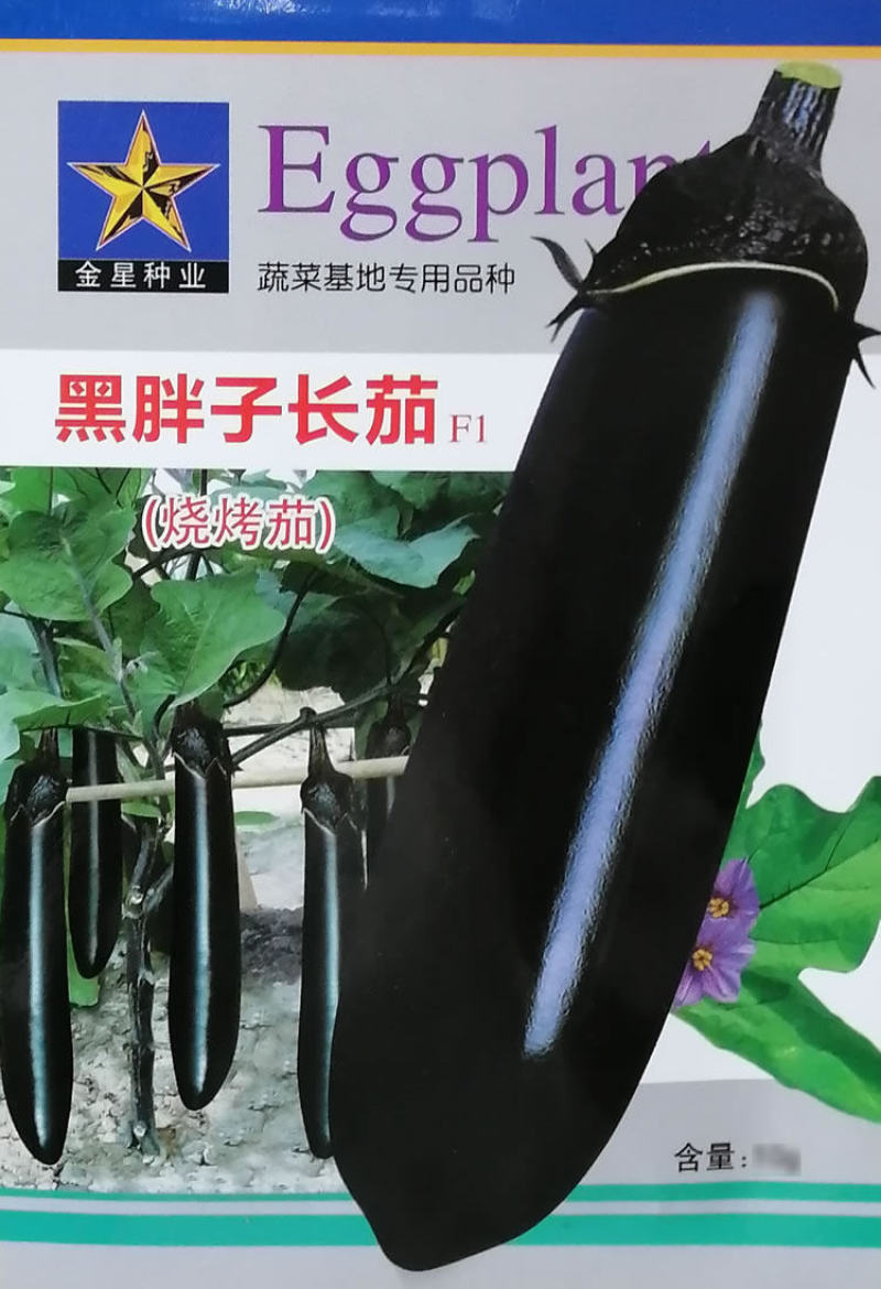 黑胖子长茄种子烧烤茄种子蔬菜基地高产用中早熟黑茄子种子