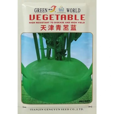 青丕兰种子球茎扁圆外皮青绿色青丕蓝种籽肉质细嫩质脆