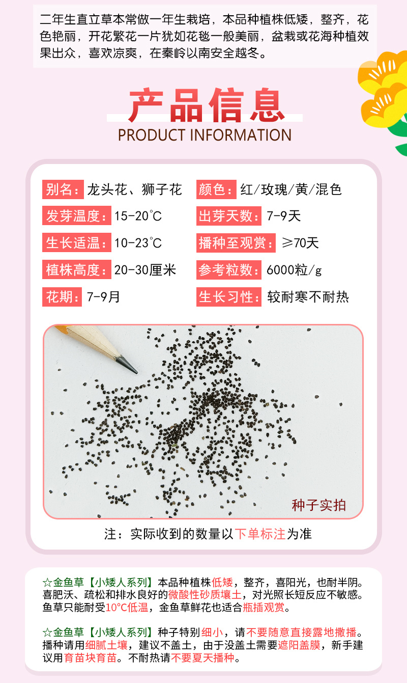 【精品包邮】小矮人金鱼草种子龙头花狮子花龙口花洋彩雀花籽