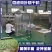 微波茶叶烘干机绿茶杀青烘干提香生产线红茶龙井茶烘烤设备