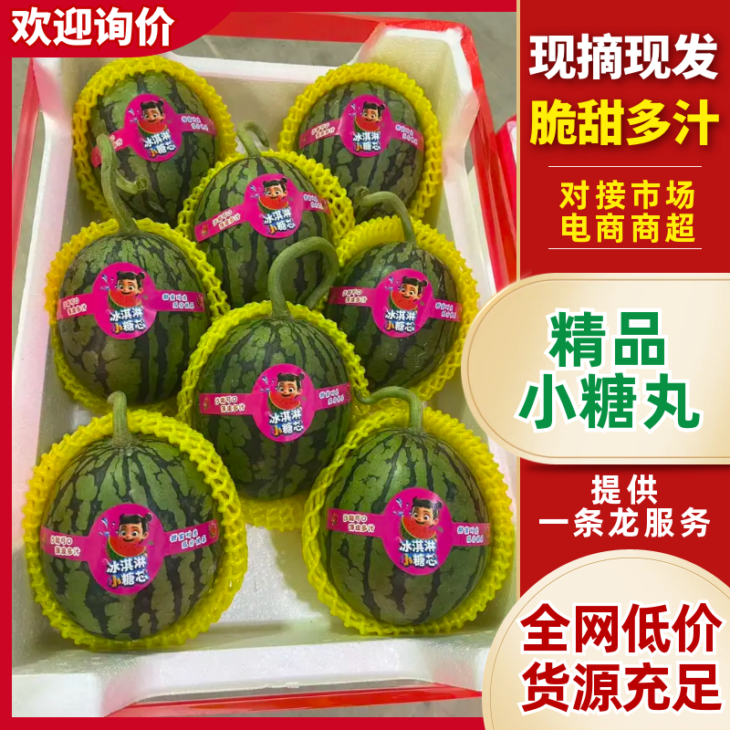山东2k西瓜小吊瓜小糖丸西瓜全美2k大量供应代发全国