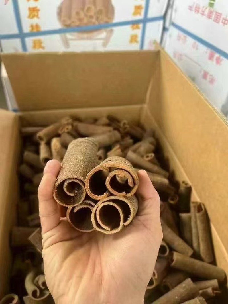桂皮段大货价8.5元/斤