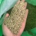进口小茴香大货价5元/斤