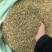 进口小茴香大货价5元/斤