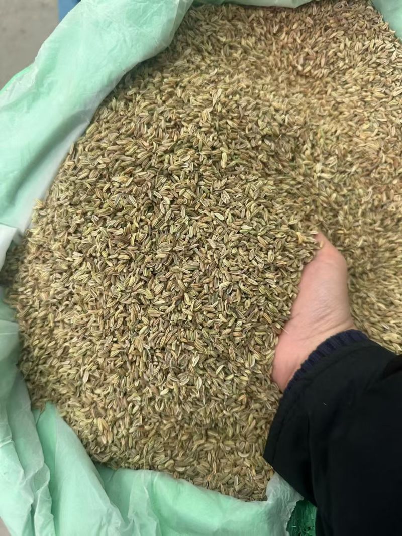 进口小茴香大货价5元/斤